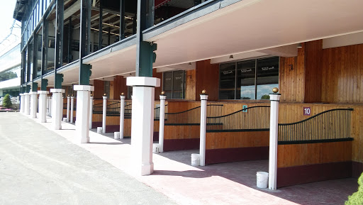 Racecourse «Suffolk Downs», reviews and photos, 525 William F McClellan Hwy, Boston, MA 02128, USA