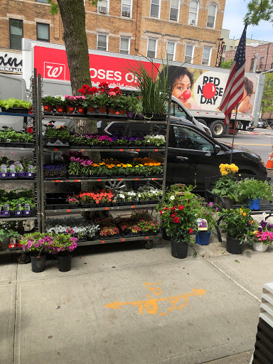 Home Improvement Store «United True Value Hardware», reviews and photos, 7905 3rd Ave, Brooklyn, NY 11209, USA