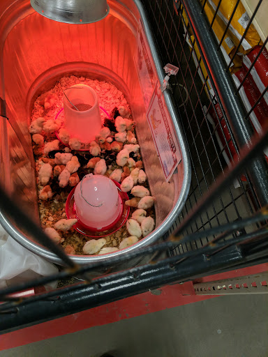 Home Improvement Store «Tractor Supply Co.», reviews and photos, 8110 S Port Dr, Manhattan, KS 66502, USA