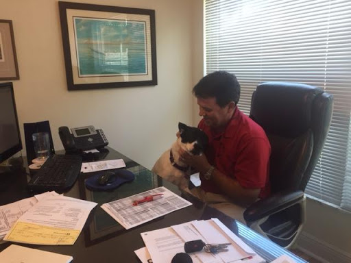 Insurance Agency «Llewellyn Insurance Services, Inc.», reviews and photos