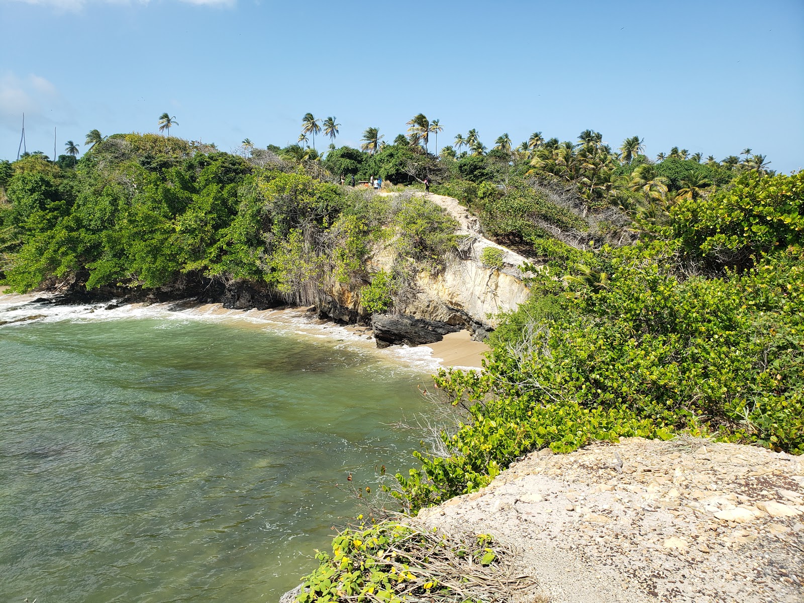 Photo de La Foret beach protégé par des falaises