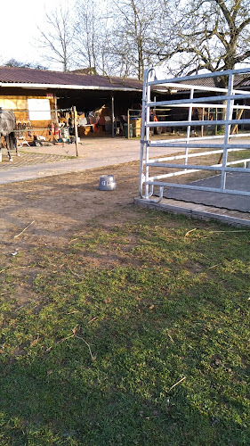 Poney Club Des Écureuils à Niederrœdern