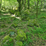 Photo n°2 de l'avis de Petra.e fait le 30/05/2023 à 12:43 sur le  Milseburgstube à Hofbieber