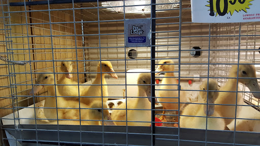 Hardware Store «Buchheit of Sparta», reviews and photos, 1817 N Market St, Sparta, IL 62286, USA