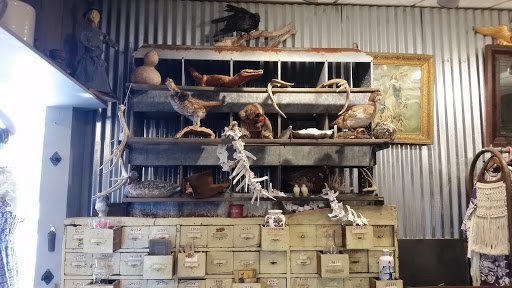 Antique Store «Rustology Antiques and Oddities», reviews and photos, 21 Main St, Stafford Springs, CT 06076, USA