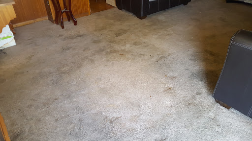 Carpet 911 Cleaning & Restoration