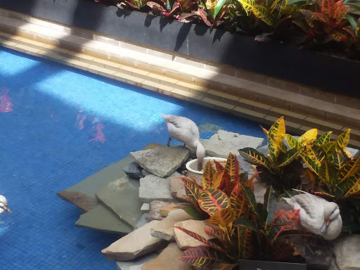 Clothing Store «Nike», reviews and photos, 8687 N Central Expy, Dallas, TX 75225, USA