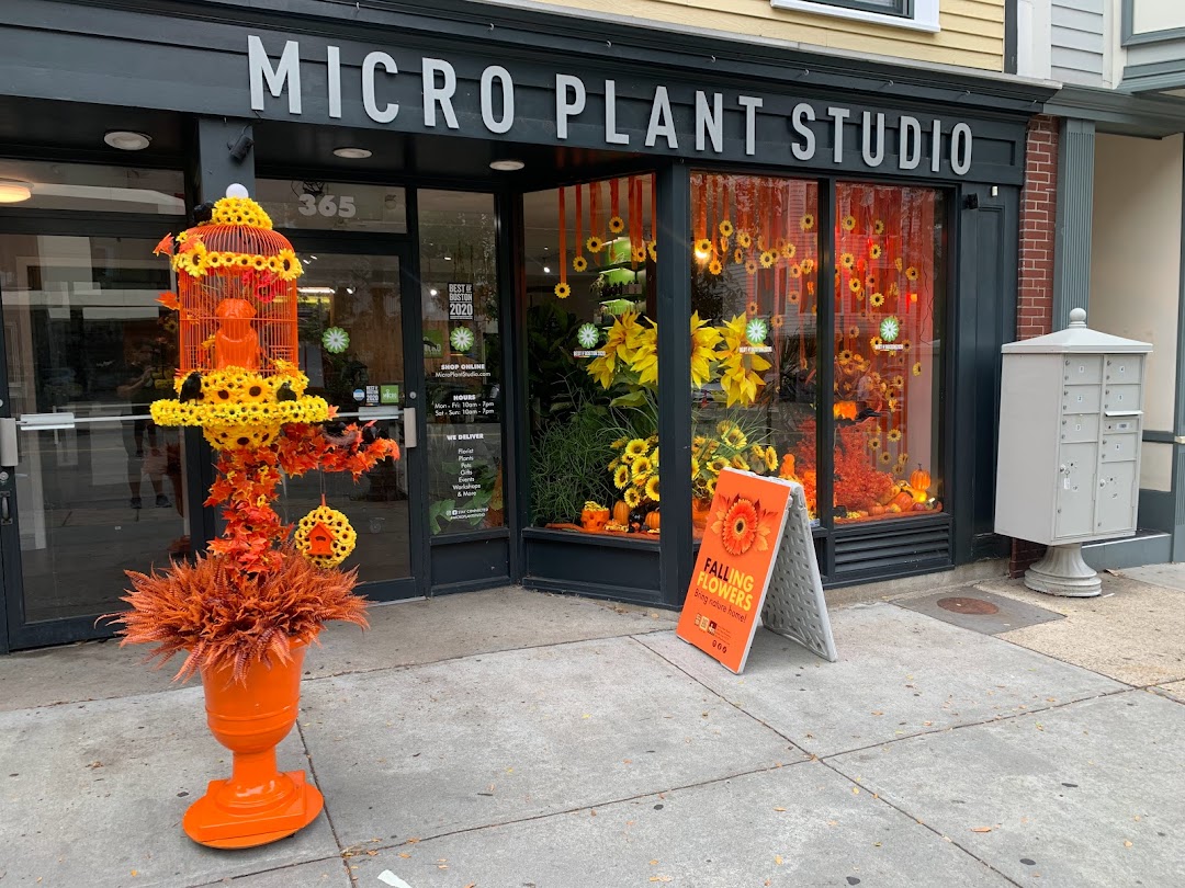 Micro Plant Studio