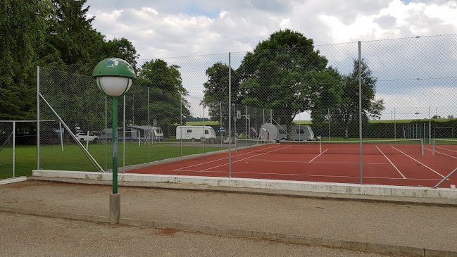 Volleyballplatz / Badminton