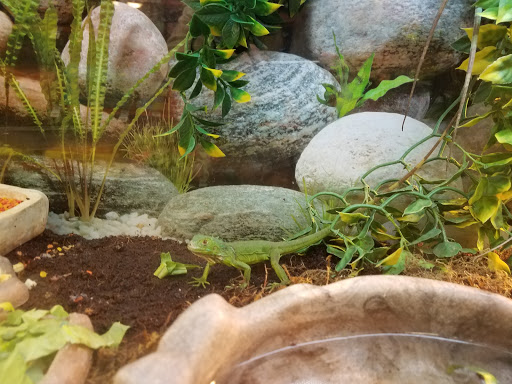 Pet Supply Store «Petco Animal Supplies», reviews and photos, 12801 Chenal Pkwy, Little Rock, AR 72211, USA