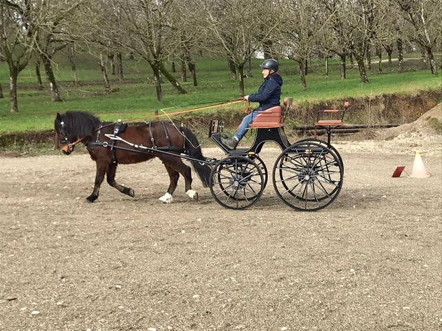 Photo n° 1 de l'avis de Rubin.a fait le 27/02/2020 à 19:37