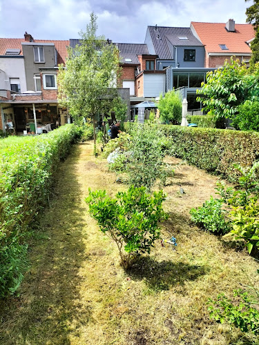 Beoordelingen van Wotepa in Antwerpen - Verfwinkel