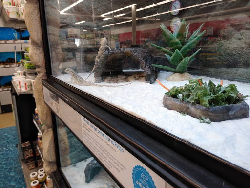Pet Supply Store «Petco Animal Supplies», reviews and photos, G3559 Miller Rd, Flint, MI 48507, USA