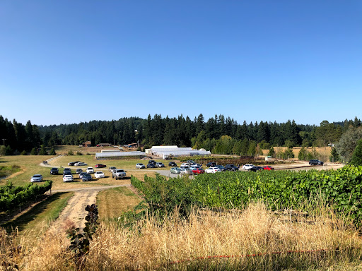 Winery «Villa Catalana Cellars», reviews and photos, 11900 S Criteser Rd, Oregon City, OR 97045, USA