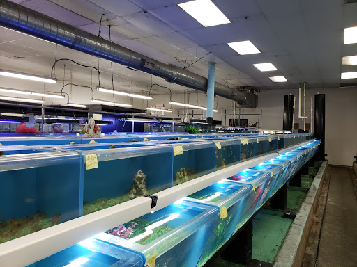 Pet Supply Store «Global Aquatics & Pet Supplies», reviews and photos, 1420 S Carlos Ave, Ontario, CA 91761, USA