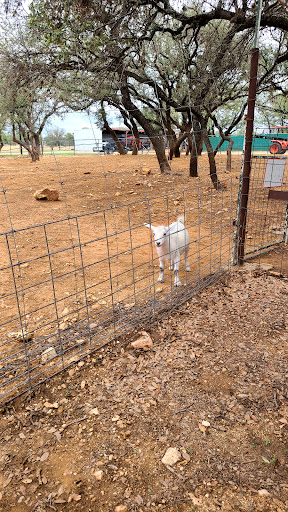 Zoo «The Exotic Resort Zoo», reviews and photos, 235 Zoo Trail, Johnson City, TX 78636, USA