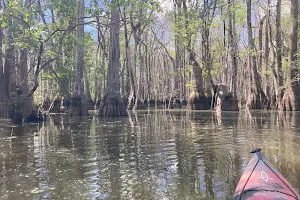 Savannah Canoe and Kayak image