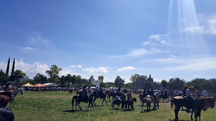 Campo deportivo