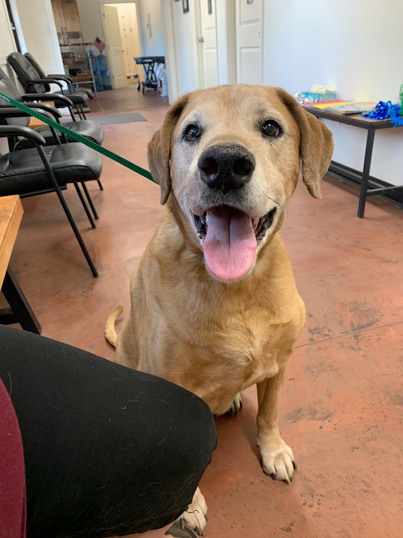 Alta Sierra Veterinary Hospital: Andersen Steve DVM