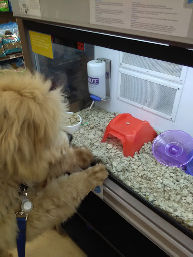 Pet Supply Store «Petco Animal Supplies», reviews and photos, 1150 Concord Ave #160, Concord, CA 94520, USA
