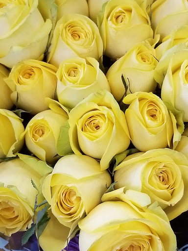 Florist «Flower Market», reviews and photos, 5851 Wiles Rd, Coral Springs, FL 33067, USA