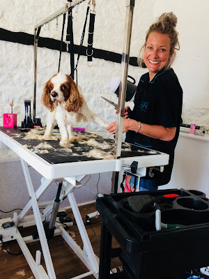 Fur Doï¿½s Dog Grooming