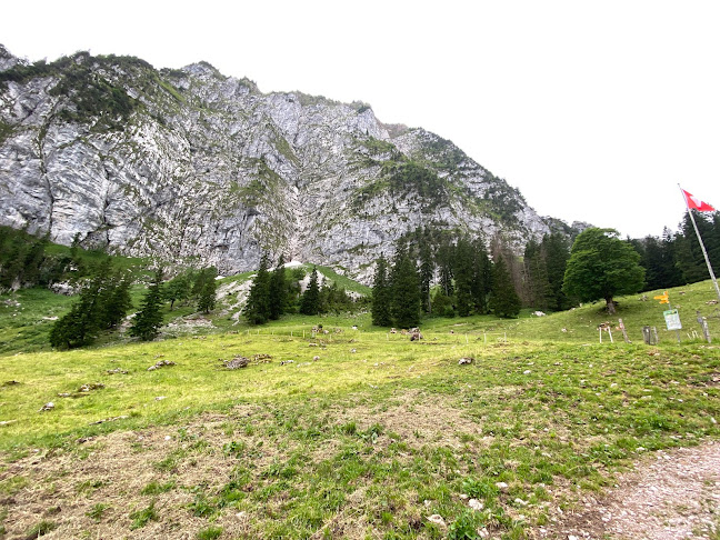 Alp Zwüschet-Mythen - Einsiedeln