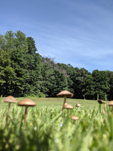Golf Course «Bristol Ridge Golf Course», reviews and photos, 1978 Co Hwy C, Somerset, WI 54025, USA