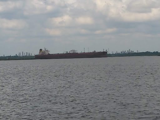 Park «Terry Hershey Park», reviews and photos, 15200 Memorial Dr, Houston, TX 77079, USA