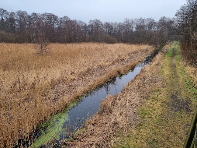 Kommentarer og anmeldelser af Gravlev-Ebeltoft natursti