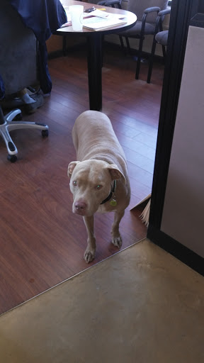 Auto Repair Shop «Law Auto Sales», reviews and photos, 32115 Michigan Ave, Wayne, MI 48184, USA