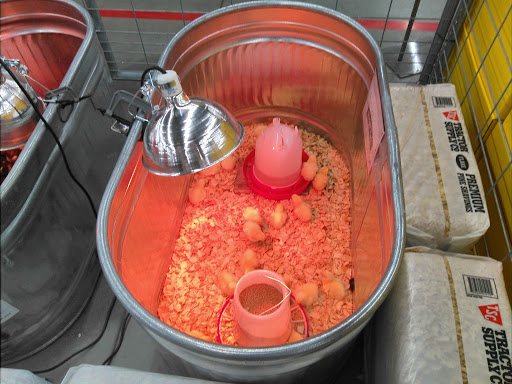 Home Improvement Store «Tractor Supply Co.», reviews and photos, 10801 Colonel Glenn Rd, Little Rock, AR 72204, USA