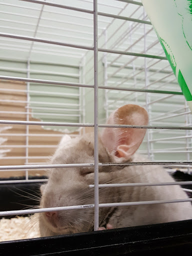 Pet Store «Hometowne Pet & Supply Inc», reviews and photos, 153 NY-94, Warwick, NY 10990, USA