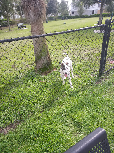 Community Center «Avalon Park West Community Center», reviews and photos, 5216 Autumn Ridge Dr, Wesley Chapel, FL 33545, USA