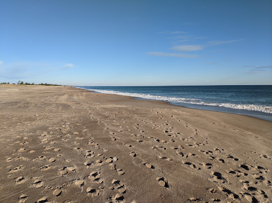 Blue Shutters Beach