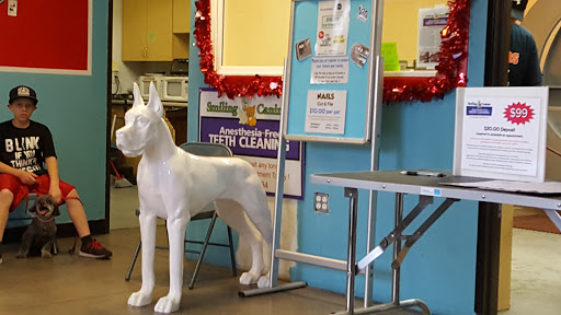 Pet Supply Store «Pet Supreme», reviews and photos, 12823 Foothill Blvd, Sylmar, CA 91342, USA