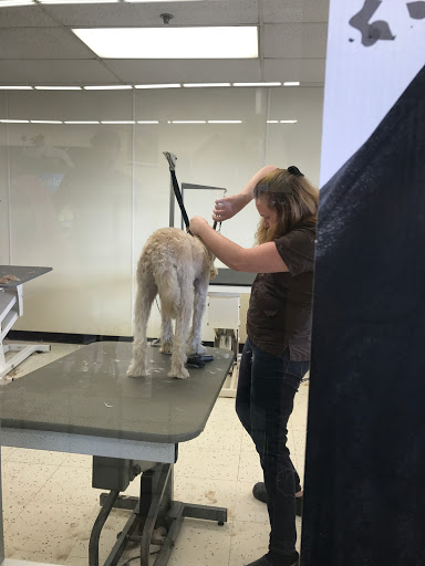 Pet Supply Store «Petco Animal Supplies», reviews and photos, 220 Maine Mall Rd, South Portland, ME 04106, USA