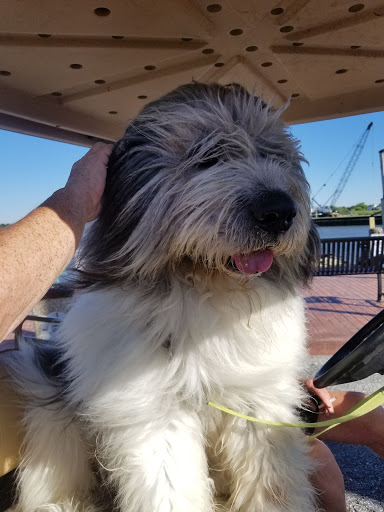 Cruise Agency «Tangier Island Cruises», reviews and photos, 1001 W Main St, Crisfield, MD 21817, USA