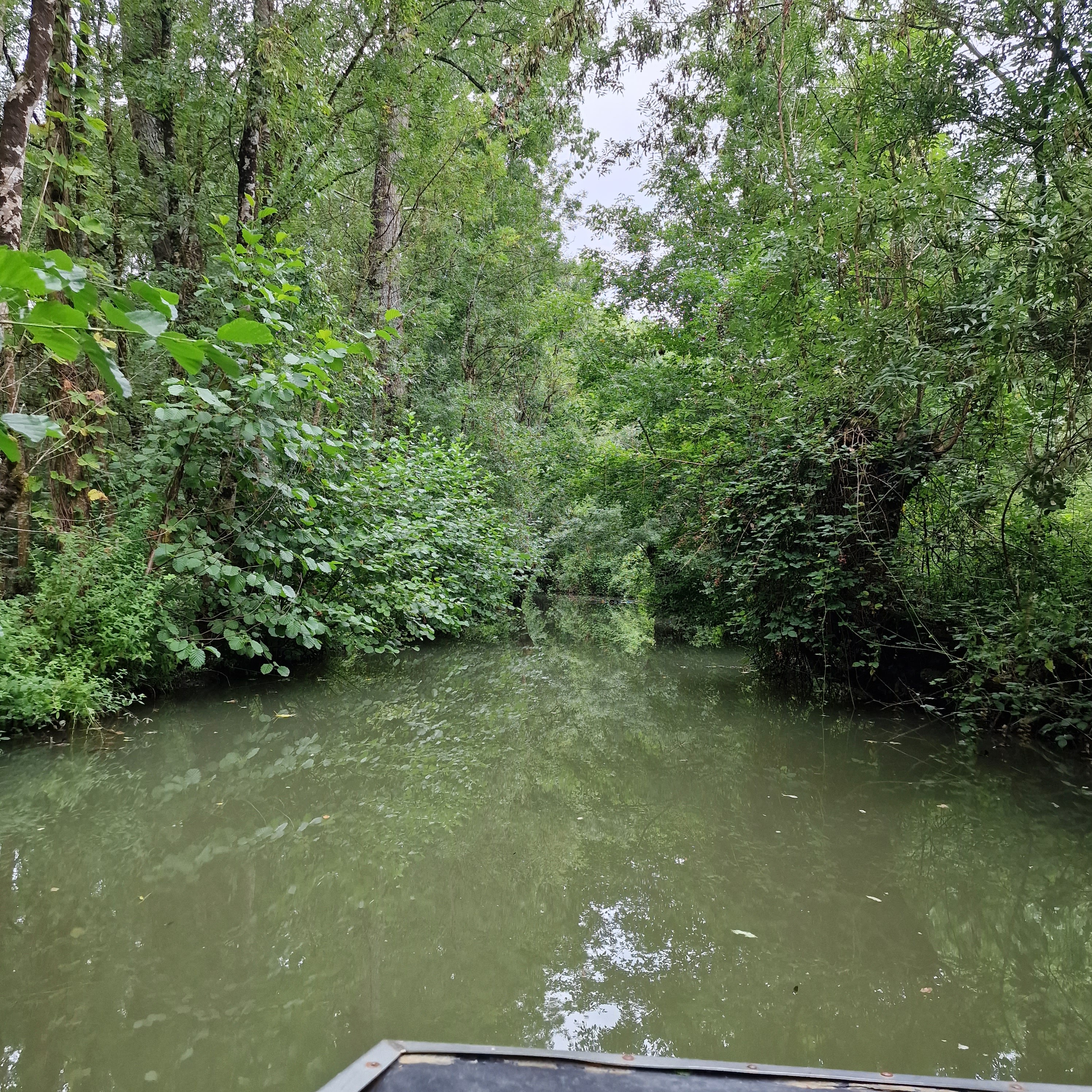 Photo n° 2 de l'avis de Manu.l fait le 17/08/2023 à 05:43