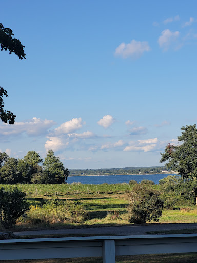 Vineyard «Greenvale Vineyards», reviews and photos, 582 Wapping Rd, Portsmouth, RI 02871, USA