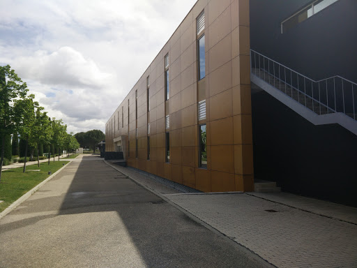 Cognizant Technology Solutions Valladolid en Boecillo, Valladolid