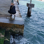 Photo n°1 de l'avis de Shepherd.i fait le 15/10/2019 à 22:24 sur le  Pizzeria Le Botti à Venice