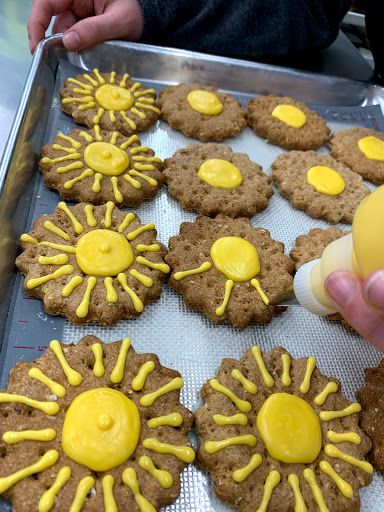 Pet Supply Store «Pets Naturally», reviews and photos, 1420 W South Airport Rd, Traverse City, MI 49686, USA