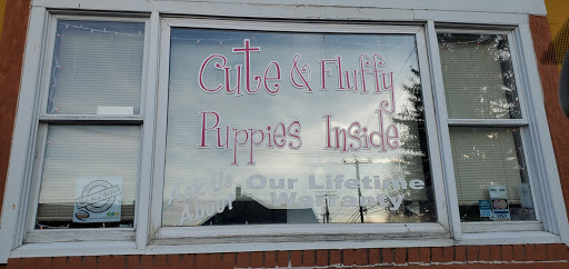 Pet Store «AA Ridgewood Kennels II, LLC», reviews and photos, 11 E Tolna Rd, Shrewsbury, PA 17361, USA