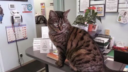 Yorkwood Veterinary Clinic image