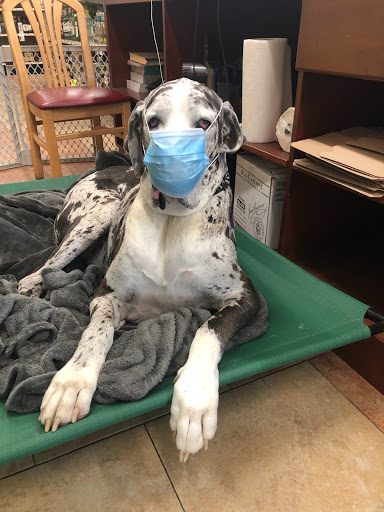 Liquor Store «Farmingdale Liquor Store», reviews and photos, 85 Main St, Farmingdale, NJ 07727, USA