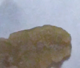 HOTEL MANHATTAN photo