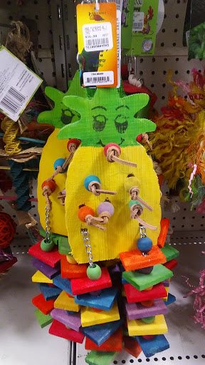 Pet Store «Creature Comforts», reviews and photos, 1250 Front St, Binghamton, NY 13901, USA