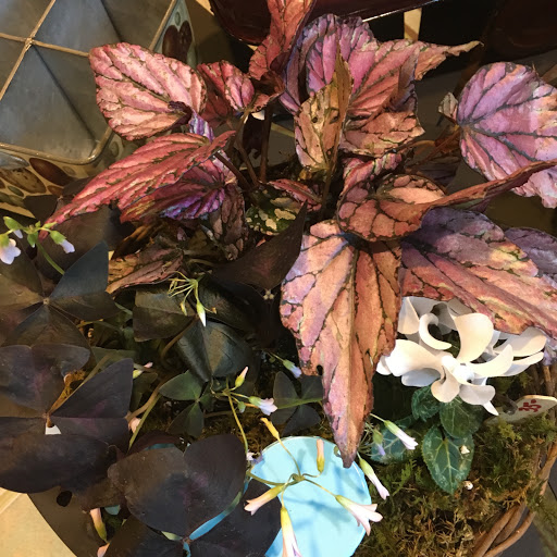 Garden Center «Victoria Gardens», reviews and photos, 1 Cottekill Rd, Rosendale, NY 12472, USA