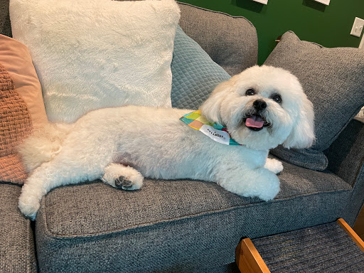 Pet Store «PetSmart», reviews and photos, 1606 E Empire St, Bloomington, IL 61701, USA